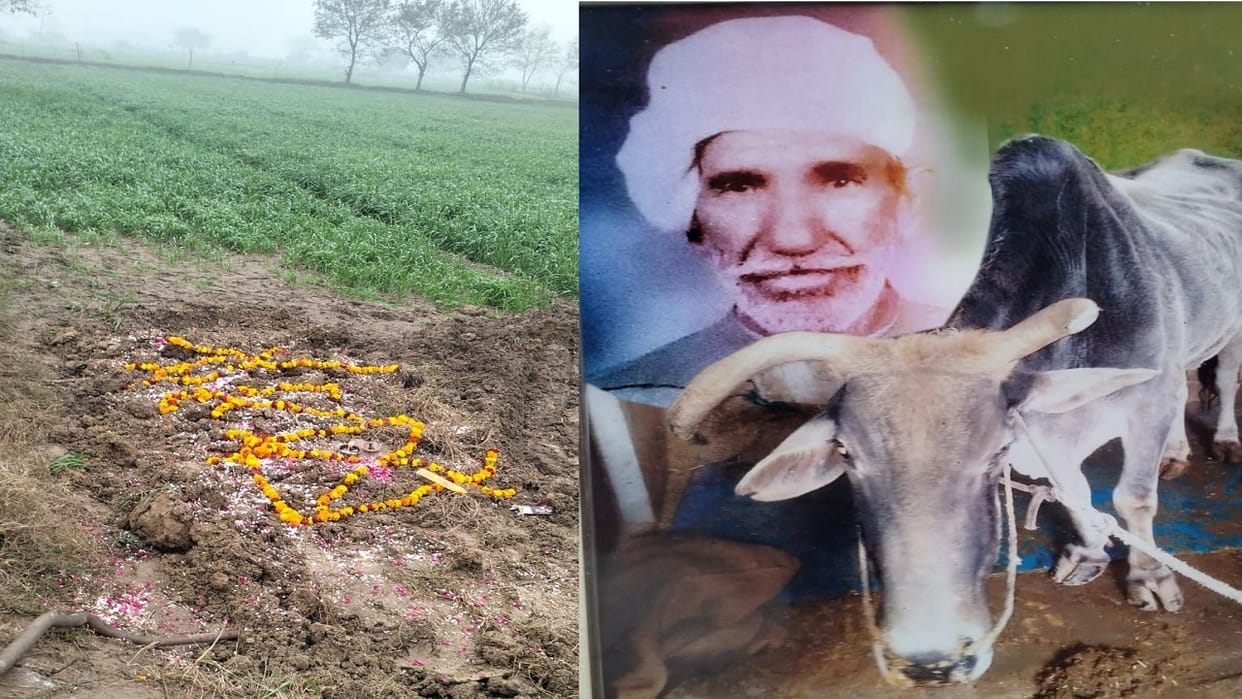Farmer took out last journey of bull with musical instruments In Bhiwani