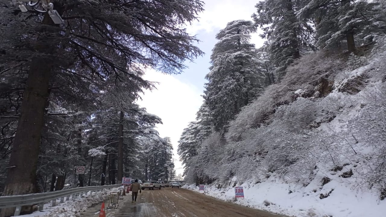 Himachal Weather: Difficulties increased due to snowfall, roads and power transformers stalled, see the situat