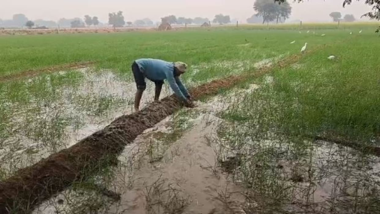 Rajasthan Weather Today: Temperature dropped due to intermittent rain, Meteorological Department issued alert