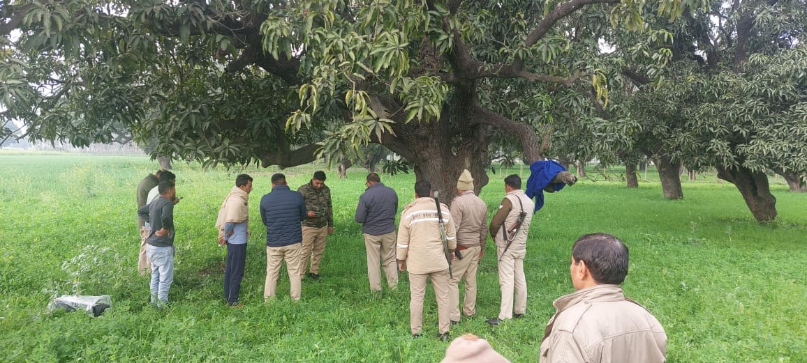Gulfam of body has found on tree in garden in Nanauta of Saharanpur