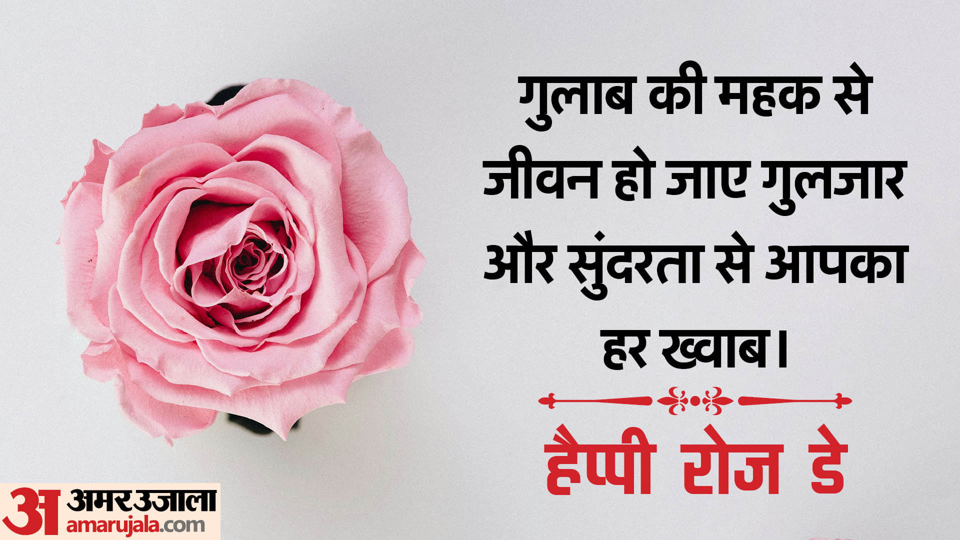 happy rose day 2024 wishes images messages quotes whatsapp
