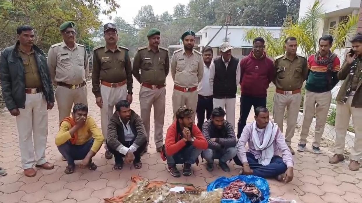 Katni Five accused arrested in chital hunting case two axes along with meat and skin seized