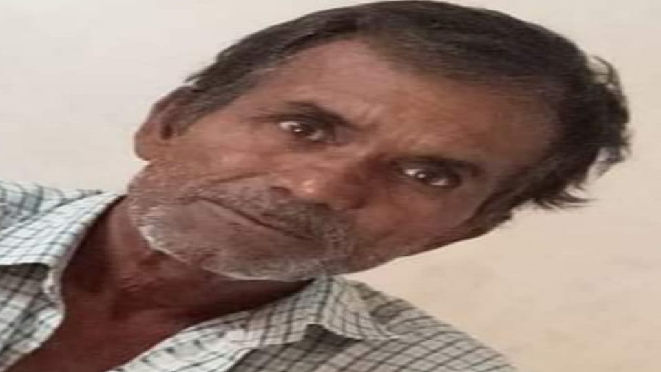 Uttarakhand News: E-rickshaw driver dies due to collision with unknown vehicle