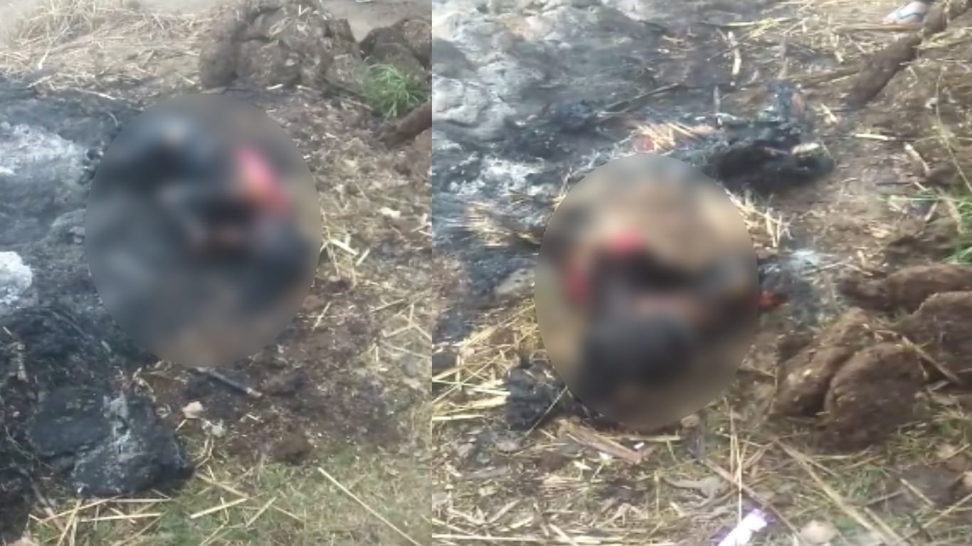Mama murders his niece and burnt her body in a trash, accepts his accused