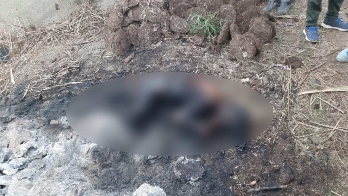 Mama murders his niece and burnt her body in a trash, accepts his accused