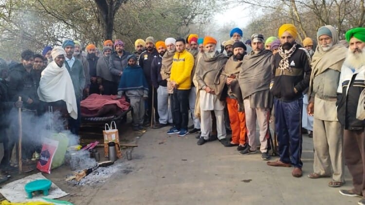 Woman Mauled To Death By Stray Dogs In Kapurthala – Amar Ujala Hindi News Live