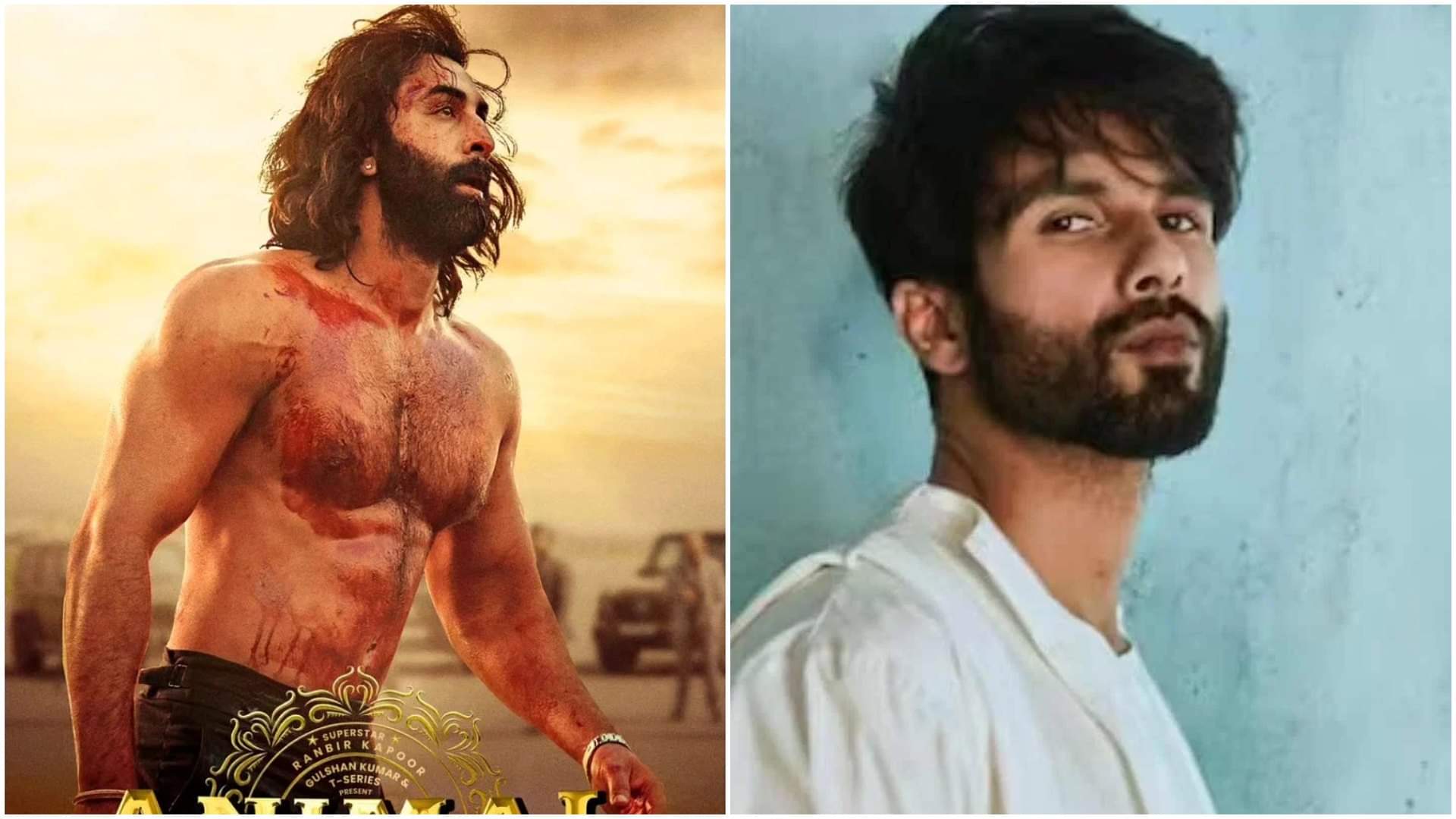 Sandeep Reddy Vanga reveals Teri Baaton Mein Aisa Uljha Jiya Shahid Kapoor did not text him after Animal hit