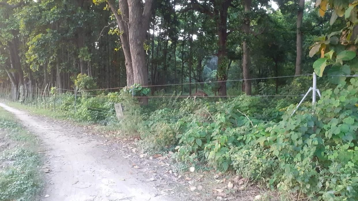 Manipur Meitei bodies welcome decision to fence India-Myanmar border, Naga, Kuki outfits oppose move