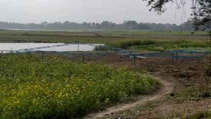 Samastipur: Efforts started to convert 50 acres of Muktapur Moin into an eco park