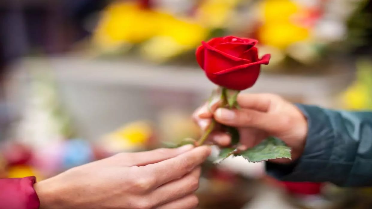 Valentine Week: With the beginning of Valentine's week, the prices of roses increased