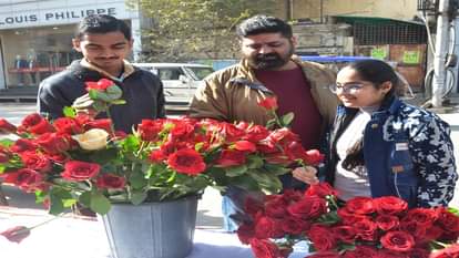 वेलेंटाइन सप्ताह की शुरुआत रोज डे से, गुलाब की बढ़ी खरीदारी