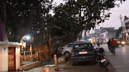 Varanasi Bhadohi four lane entangled in cutting of 20 trees in varanasi