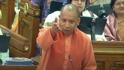 Yogi's speech: What is the real meaning of words like Nandi, Krishna, Mahabharata, Kauravas, what options does