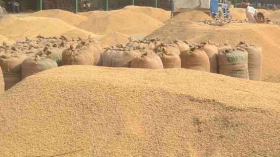Irregularity of Rs 3.63 crore in paddy purchase at support price in Balrampur Ramanujganj