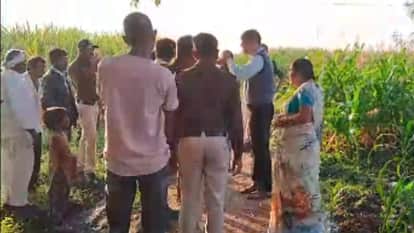 Barwani News: Tehsildar slapped poor farmer, Collector attached after video went viral