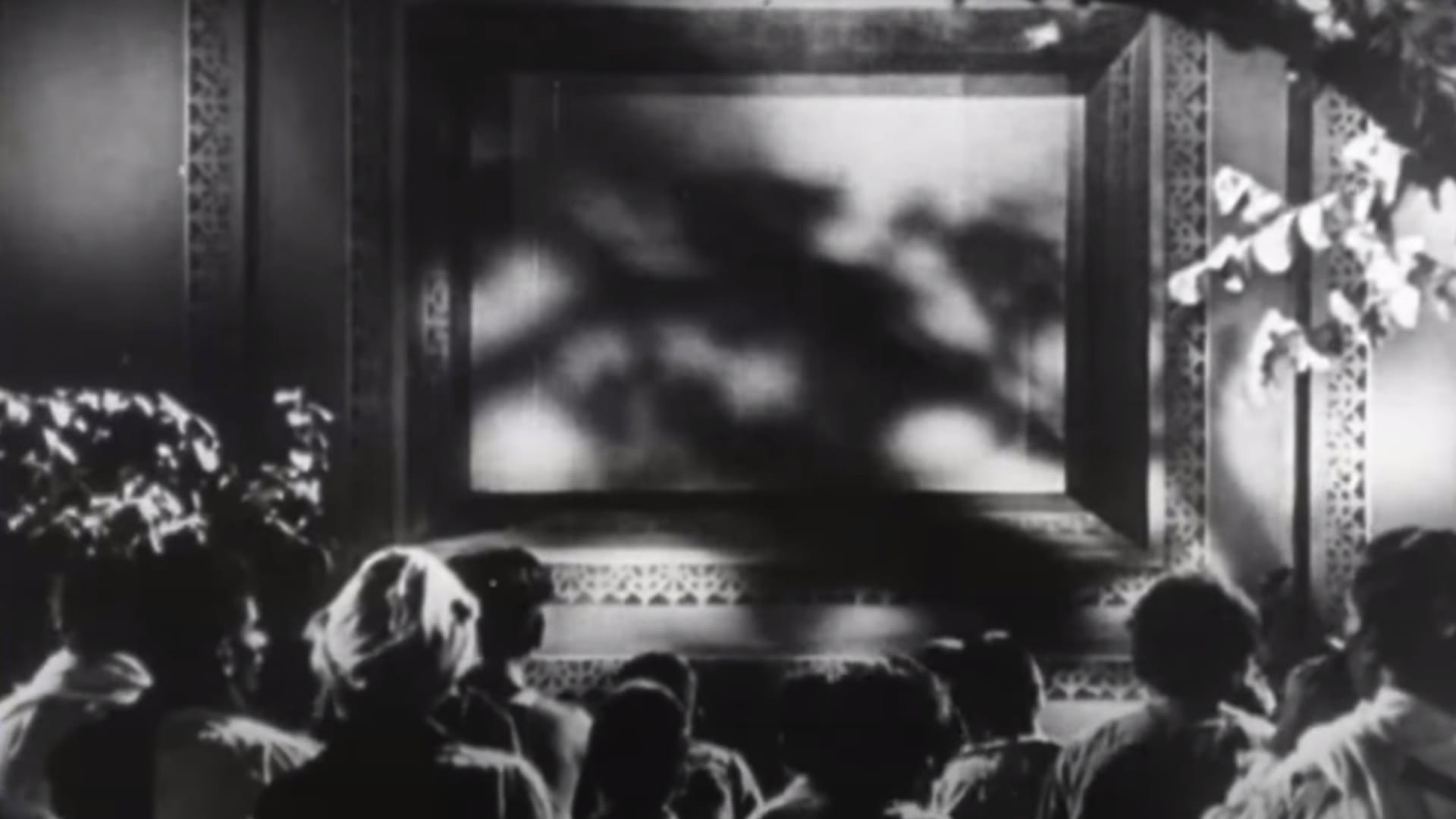 लोगों को जागरुक करने के लिए दिखाई गईं फिल्में