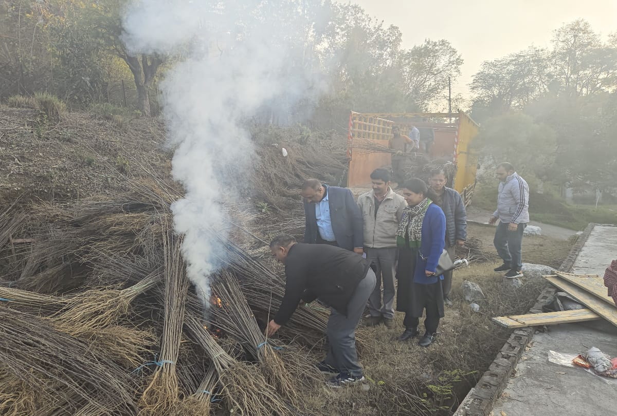 himachal:40 thousand apple plants brought from Jammu and Kashmir were destroyed by burning