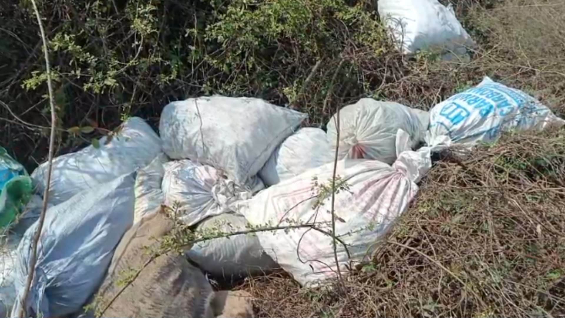 हरदा में कार्रवाई के डर से लोग पटाखे बोरियों में भरकर फेंक रहे हैं।