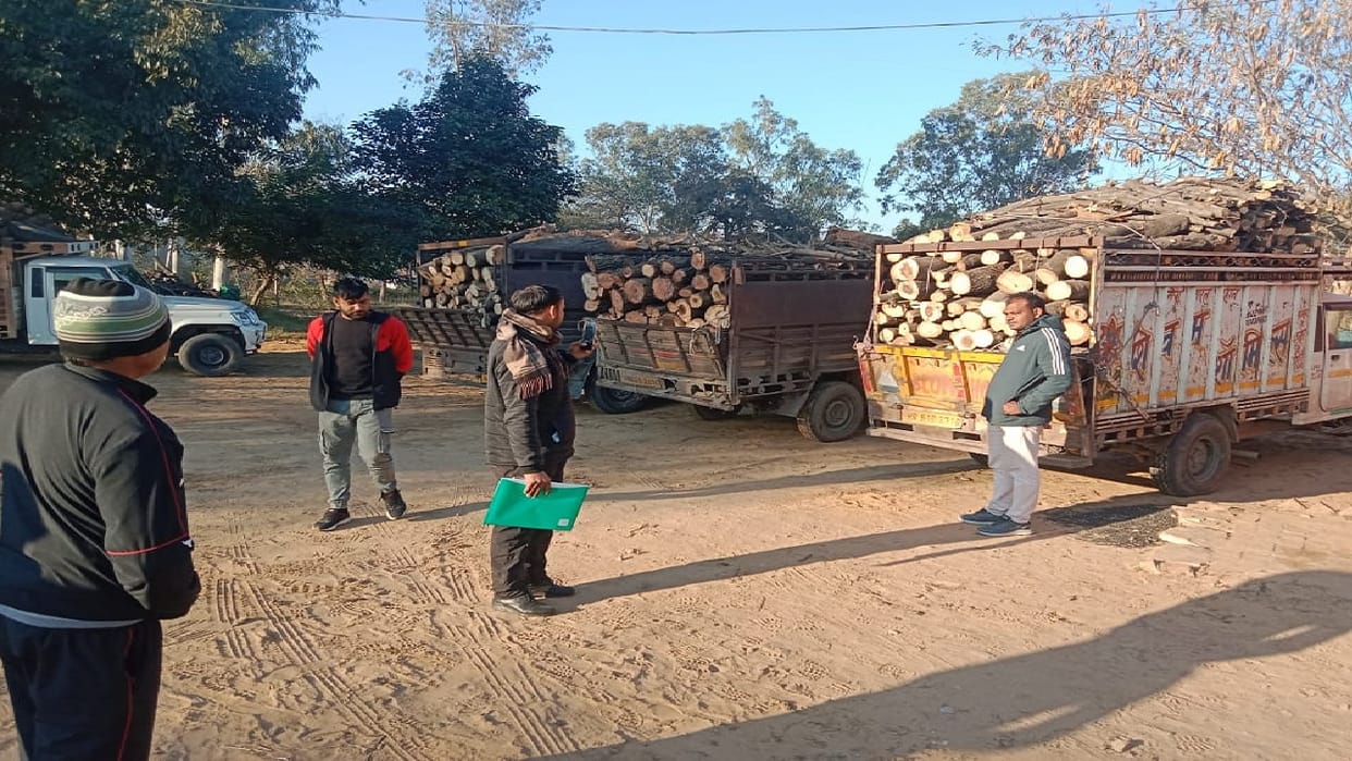 Chief Minister Flying Squad caught five vehicles filled with wood in Dadri