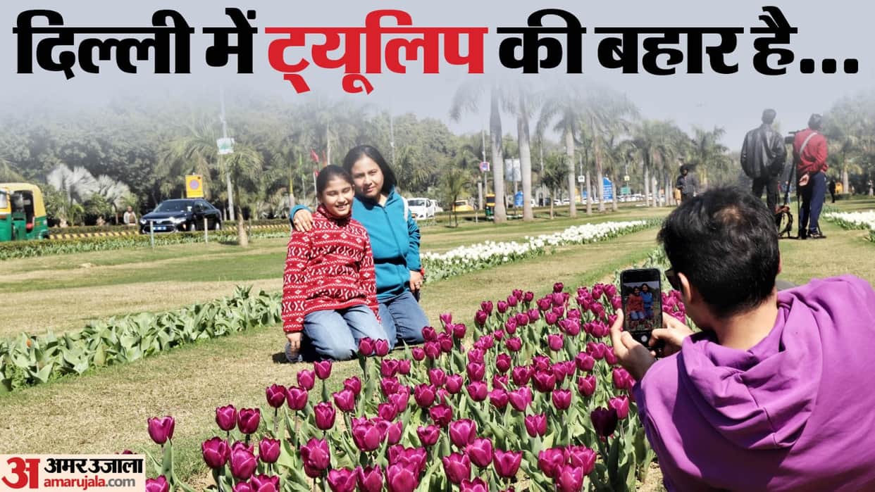 Tulip Festival starts in Delhi from Saturday it will continue till 21st February