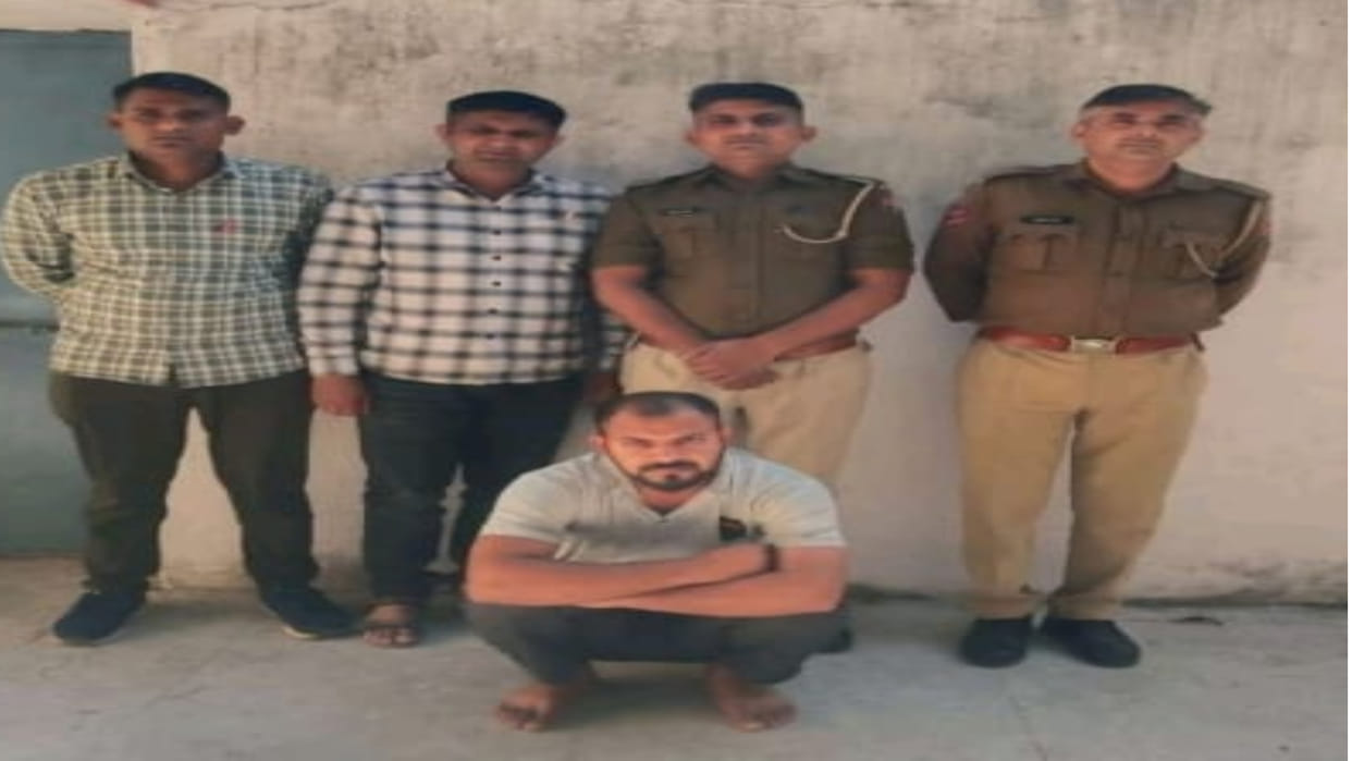 Case of supplying 234 cartons of Punjab made liquor
