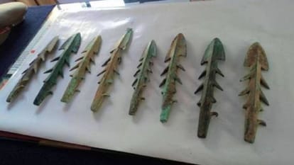 Harappan period weapons found in Shahjahanpur