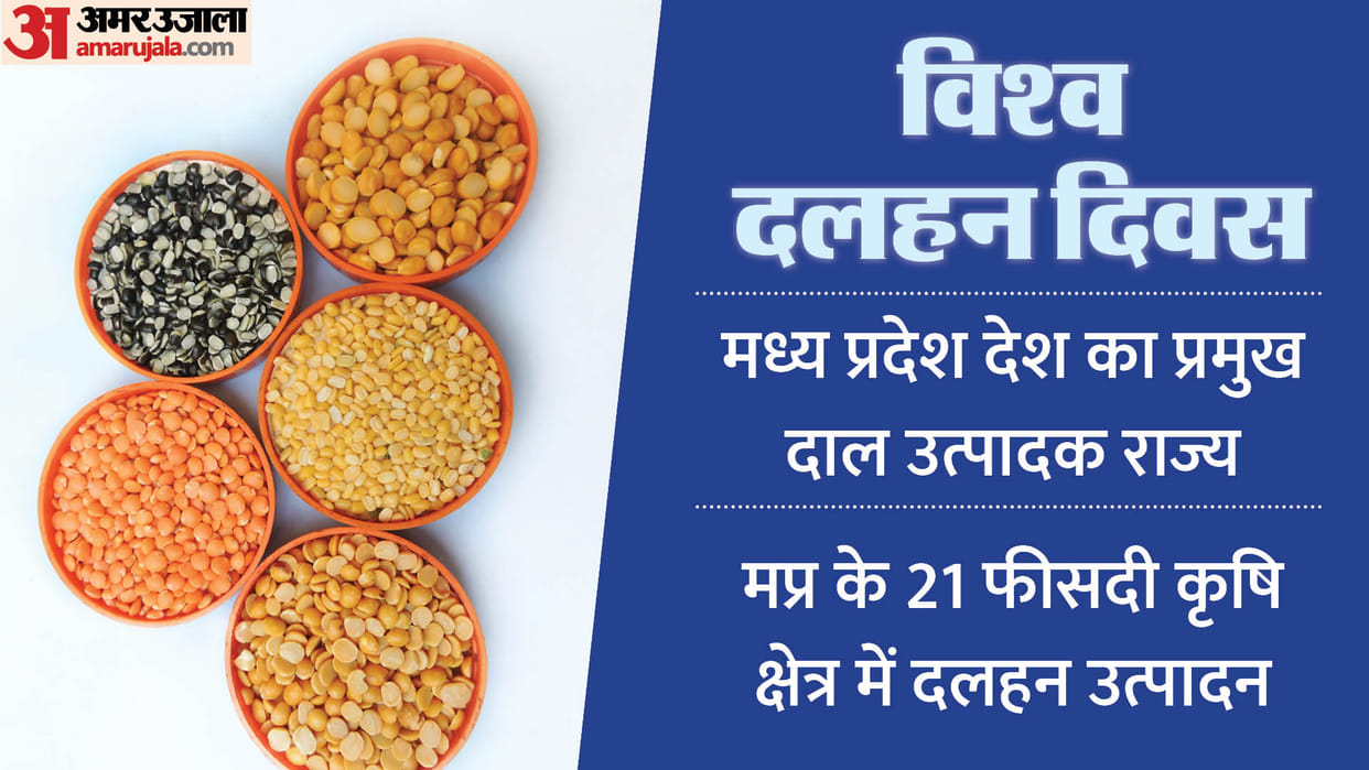 World Pulses Day today: Acharya Charak advised patients to eat pulses and khichdi