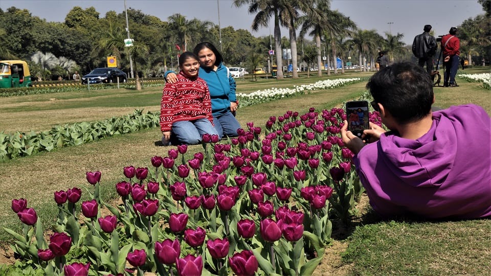 Delhi : Tulip festival started on Shanti Path