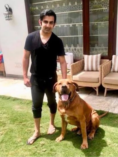Gautam Gambhir, saddened by, death of, his pet dog, made an, emotional post, social media
