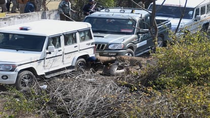 Three including two forest workers injured in leopard attack in Rajarani Vihar haldwani