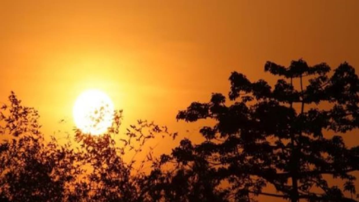 Rajasthan Weather Today: Cloudy weather expected due to western disturbance, severe cold in many areas