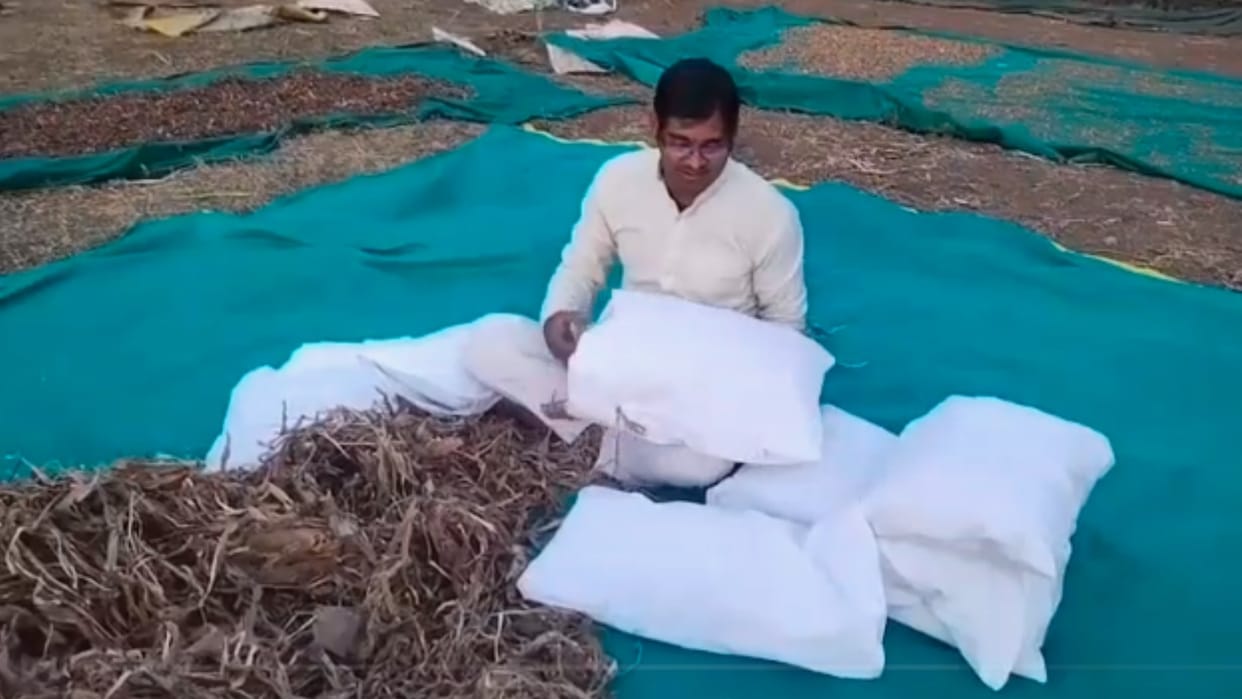 Sagar's farmer's idea, indigenous antibiotic pillow made from turmeric plant waste