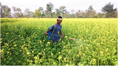 Department of Agriculture and Farmers Empowerment of Odisha has launched CRFM during Rabi crop 2023-24 season