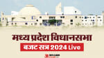 ग्राफिक्स