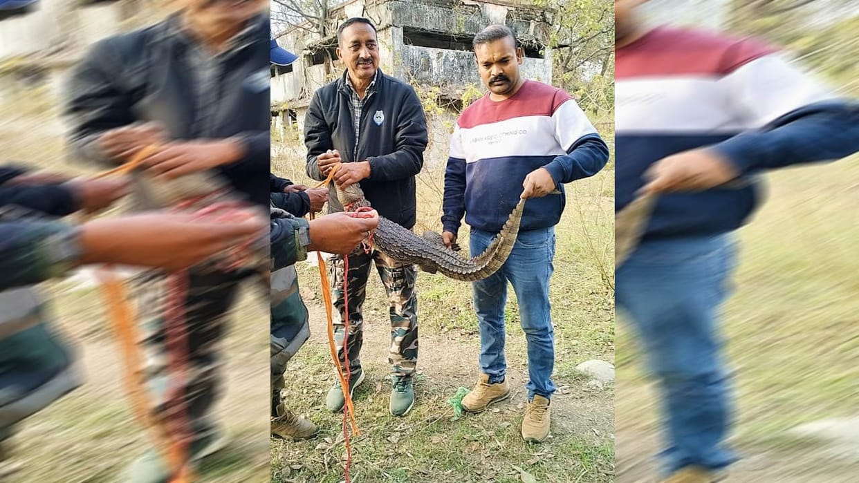 Crocodile fallen in pit rescued in Rishikesh STP Plant Displaced Area Uttarakhand news in hindi