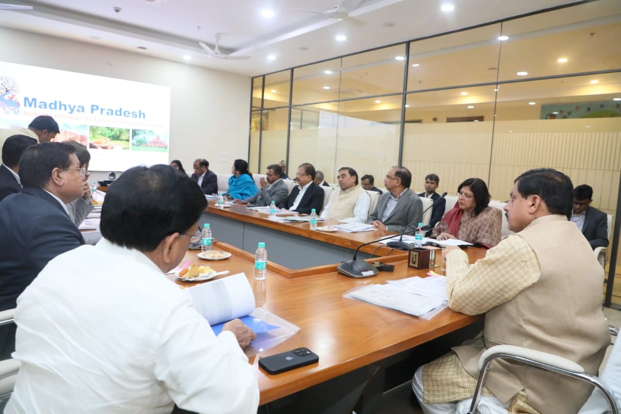 MP News: Action plan will be made for bamboo cultivation, CM said - Industries will be promoted