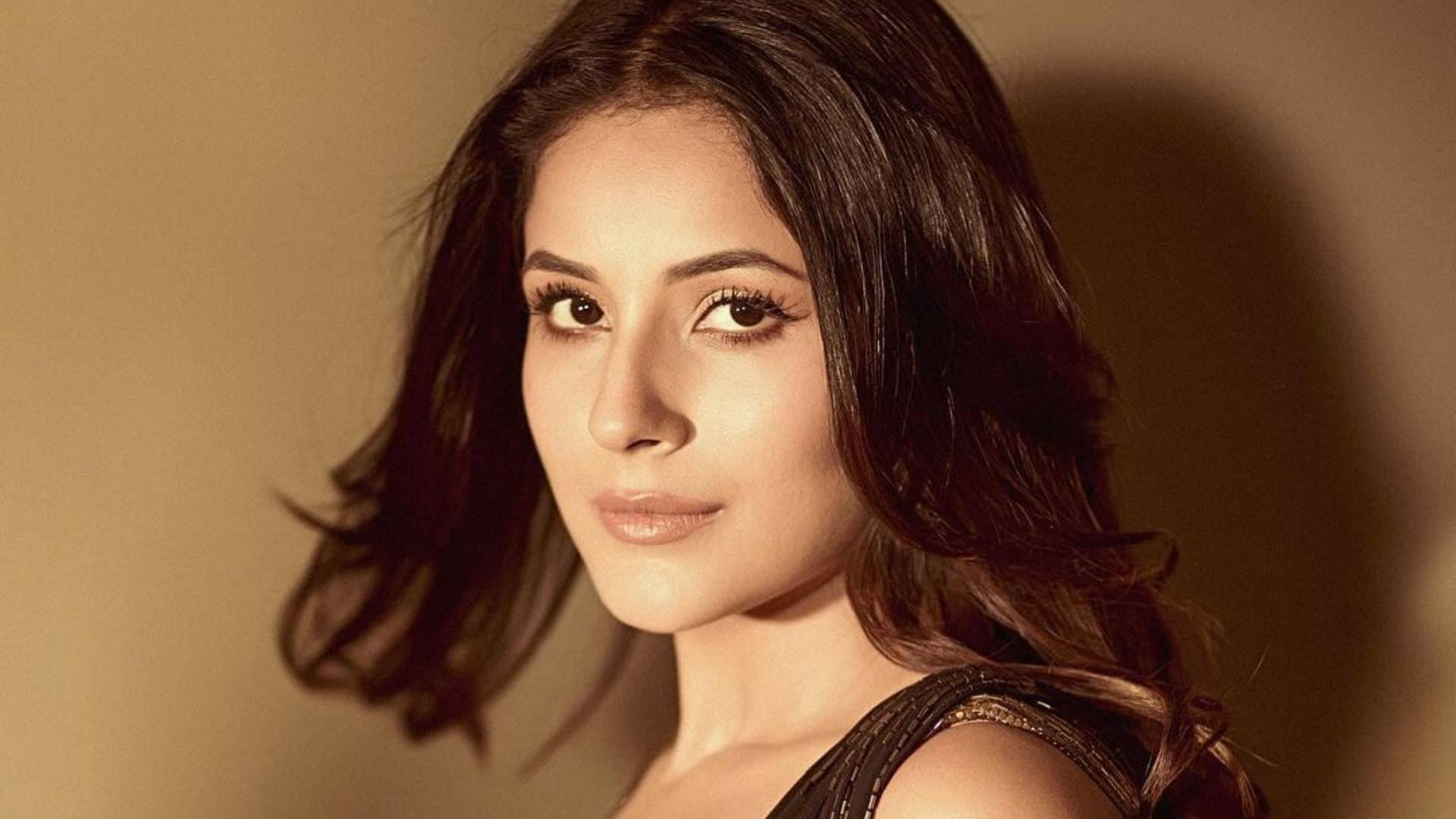 actress kriti kharbanda ananya pandey bipasha basu shehnaaz gill celebrating valentines day in special way