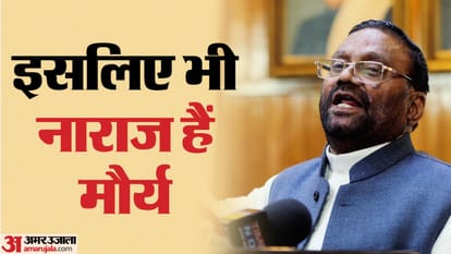 Swami Prasad Maurya resigned from post of National General Secretary of Samajwadi party These are reasons
