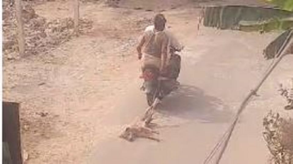 dog was beaten with sticks then tied with a rope and dragged from bike