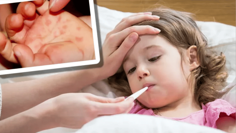 japani bukhar fever vaccine alert