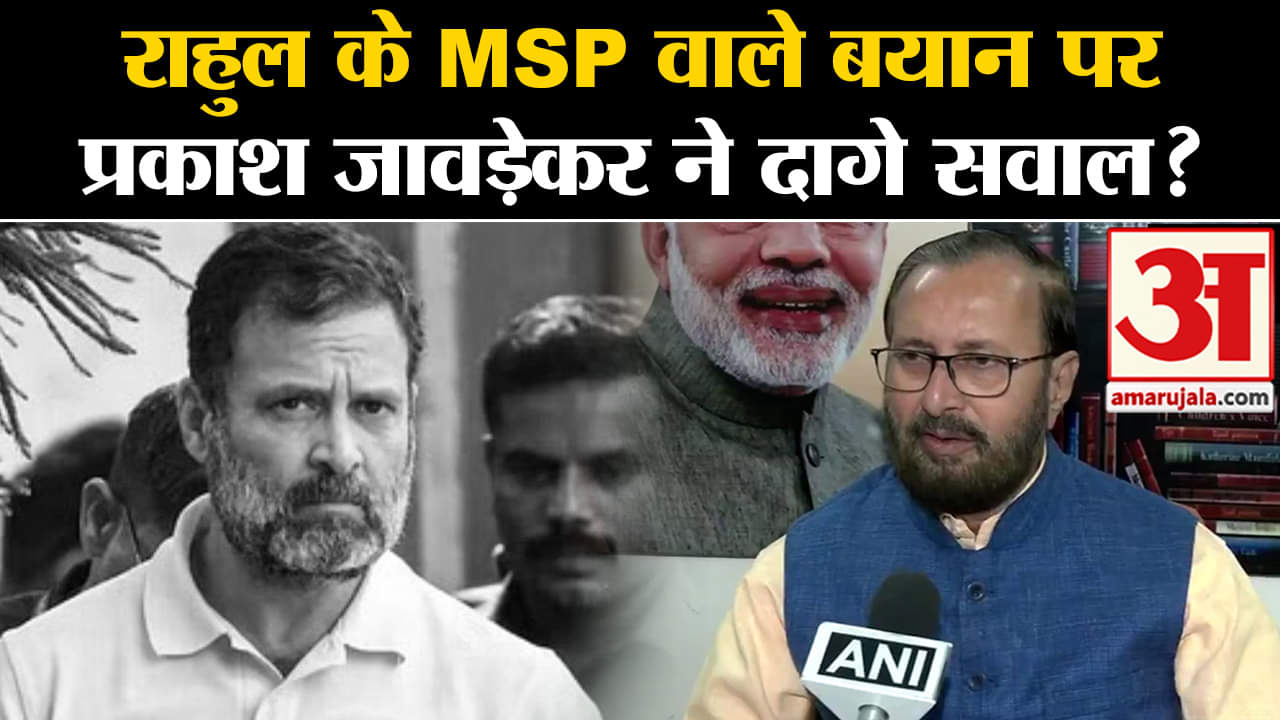 Kisan Andolan Update:  राहुल के MSP वाले बयान पर  प्रकाश जावड़ेकर ने दागे सवाल?