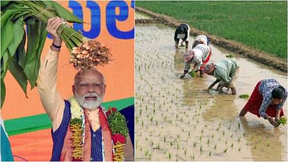 Kisan Kalyan in PM Modi tenure 10 years new records in Budget allocation Crop Purchase