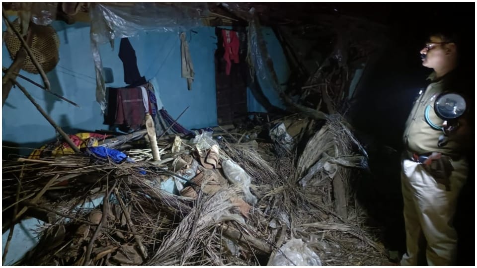 Elephant rampage continues in Shahdol destroying houses and causing damage to crops