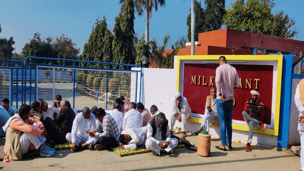 Milk supply stopped in Jind due to non payment, Vita Milk plant remained locked for second day