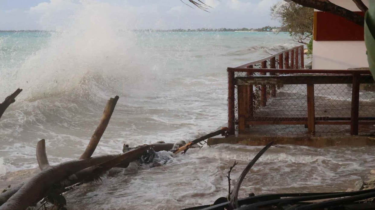 World news and update today: Indian National Dies In Flooding In Australia's Queensland