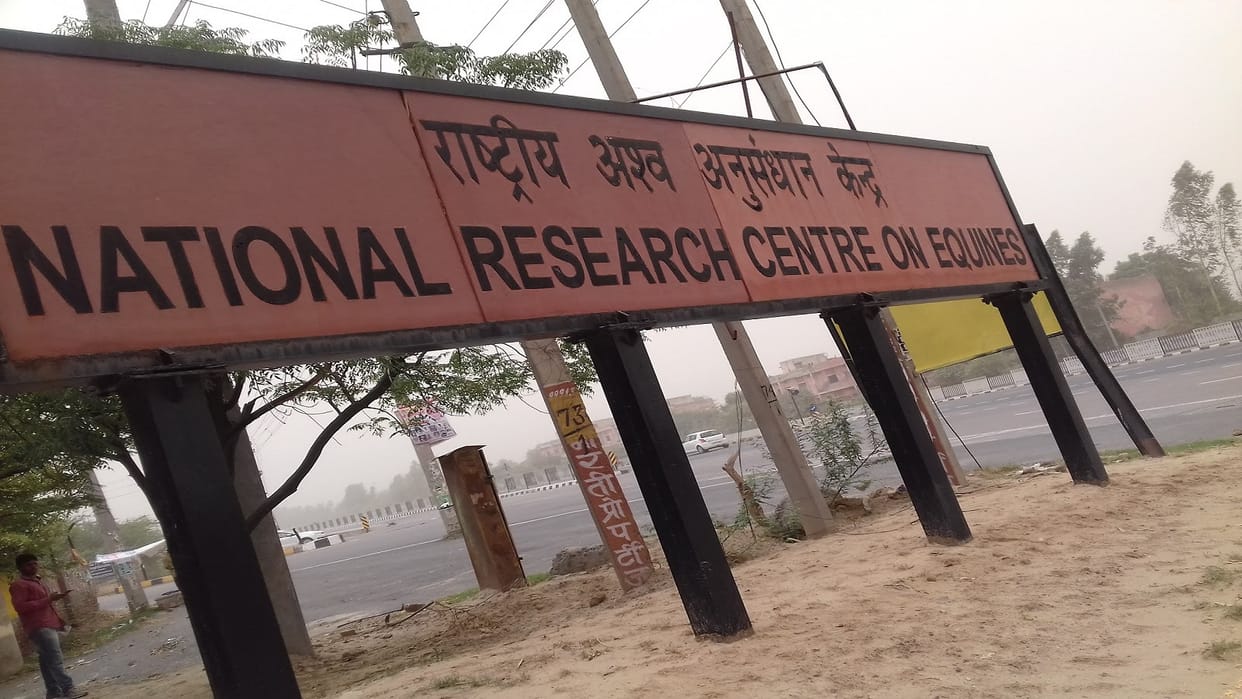 Virus will prevent abortion in mares, NRCE scientists in Hisar developed vaccine, experiment successful in lab