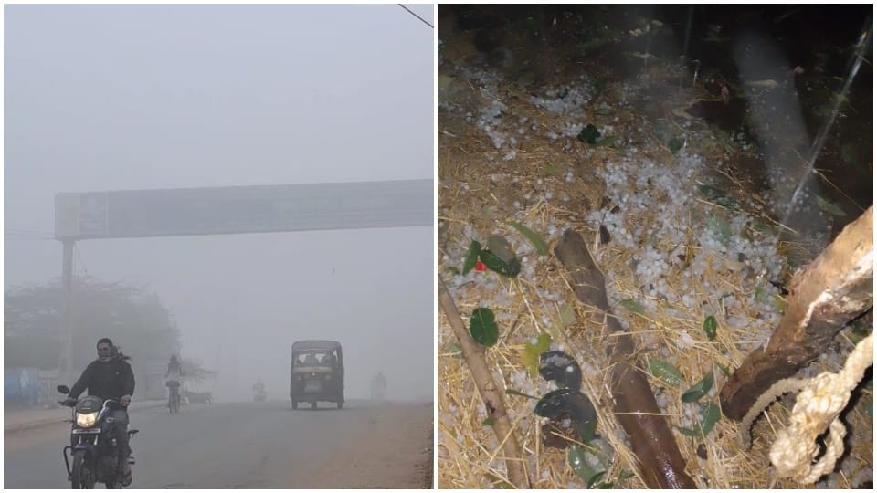 Weather changed in Damoh fog in the morning cold wind is blowing Umaria weather