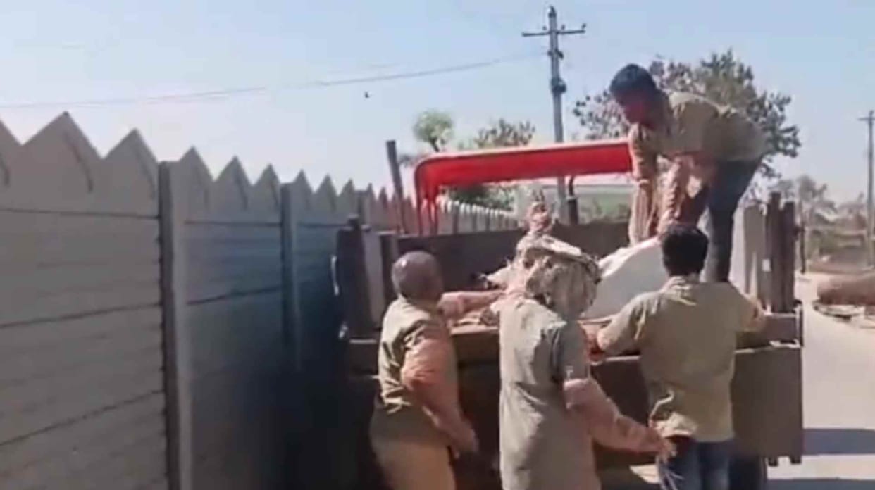 Man guns down 20 street dogs in morning rampage in Telangana crime