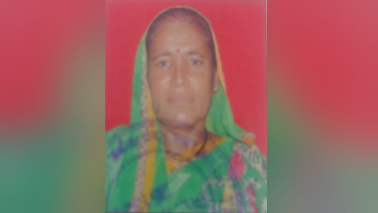Tiger was killed a woman in Bijnor, forest department team fired 40 rounds to rescue dead body