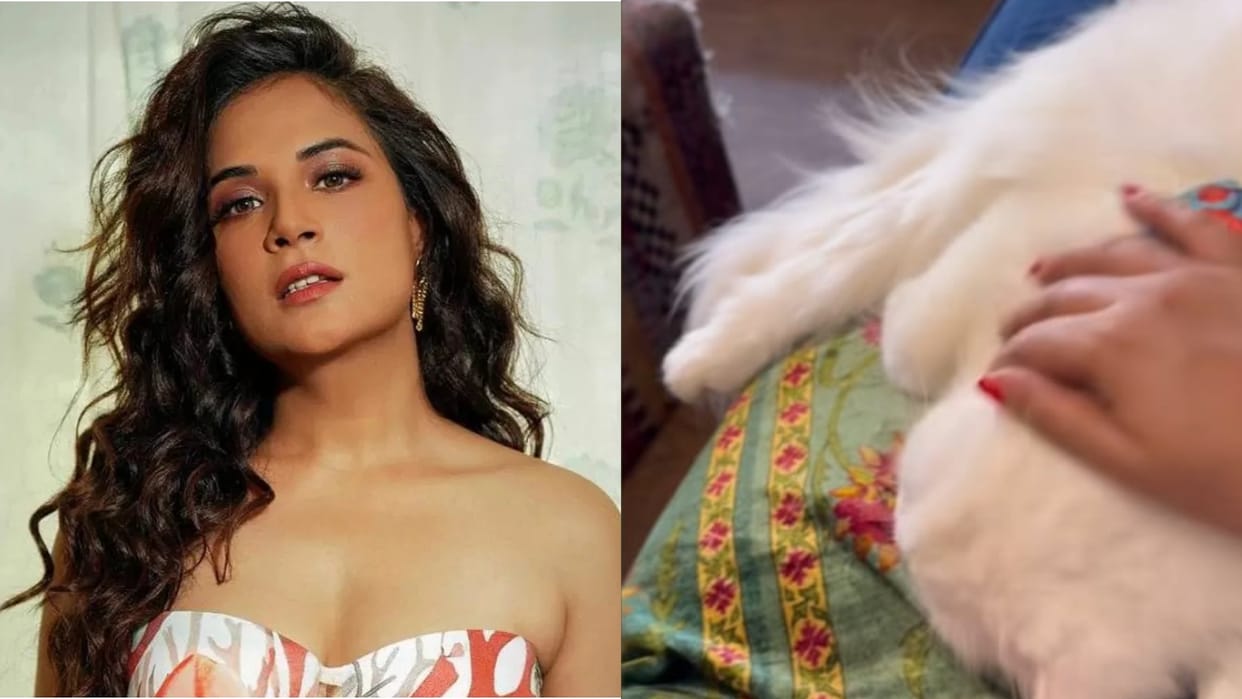 Heeramandi actress Richa Chadha share a Glimpse Of Her Baby Bump With Her pet See Viral video